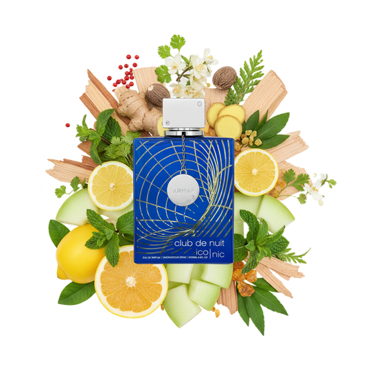 Armaf Club de Nuit Blue Iconic 105 ml — flakon perfum z wizualizacją nut (cytrusy i drewno)